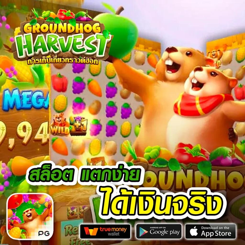 amb99vip คาสิโนอันดับหนึ่ง ระบบใหม่ล่าสุด เล่นง่าย จ่ายจริงมั่นใจ